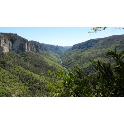 TOUROULIS - Voyage entre le Larzac et le Causse Comtal