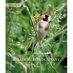 BALADE AU PAYS DU VIVANT