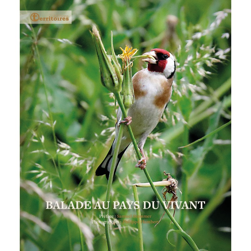 BALADE AU PAYS DU VIVANT