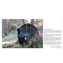 BALADE AU PAYS DU VIVANT