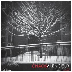 Chaos Silencieux